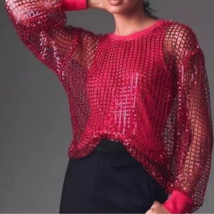 Pilcro Raspberry Sequin Mesh Top